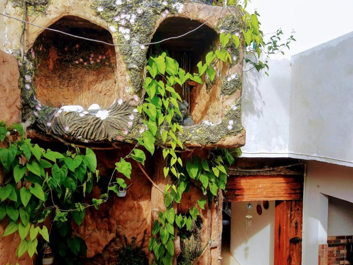 Hostal Solsticio Guajiro Ríohacha المظهر الخارجي الصورة